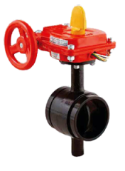 YİVLİ İZLENEBİLİR KELEBEK VANA