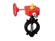 WAFER TİP İZLENEBİLİR KELEBEK VANA