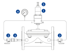 600 Serisi  QR Hızlı Basınç Tahliye Kontrol Vanası